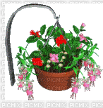 panier fleurs accroché - GIF animate gratis