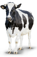 cow per request - zdarma png