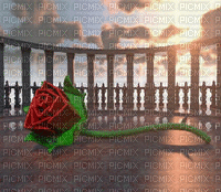 rózsám - 無料のアニメーション GIF