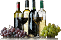 Wine drinks bp - ücretsiz png