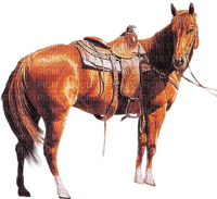 caballo - ilmainen png