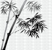 chantalmi bambou  noir - nemokama png