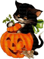 Halloween, Kürbis, Katze, Maus - png ฟรี