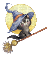 WITCH CAT HALLOWEEN MOON - Free animated GIF