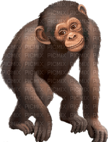Kaz_Creations Animals Monkey - PNG gratuit