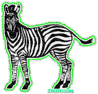 zebra glitter gif animal - Zdarma animovaný GIF