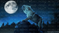 Perrito en la noche - GIF animado gratis