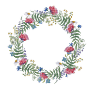 wild flowers circle frame - png gratis