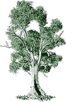 trees bp - Nemokamas animacinis gif