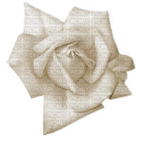 white-flower-rose-minou52 - бесплатно png