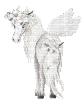 nbl-Pegasus - GIF animasi gratis
