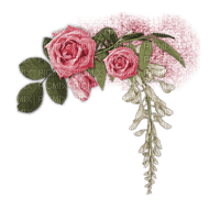 bordura Melly ruža - png gratis