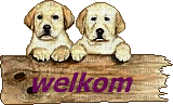 welkom - Безплатен анимиран GIF