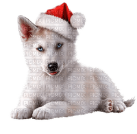 Kaz_Creations Christmas Dog Pup Dogs Colours - Free PNG