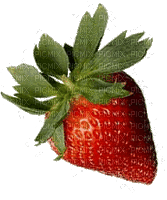 Fruit-strawberries-             Blue DREAM 70