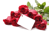 cadre,frame,rose,coeur,Saint Valentin, Pelageya