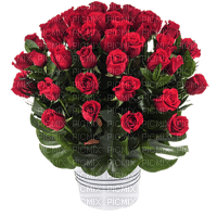 ruže - PNG gratuit