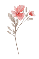 kikkapink deco spring summer flower watercolor - ingyenes png