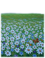 daisy flower landscape paysage - Free PNG