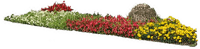 Pflanze - png grátis