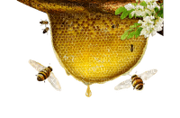 Honey Bee - Bogusia - zdarma png