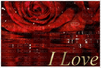 love rose - Bezmaksas animēts GIF