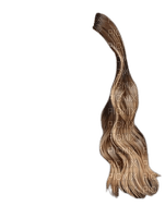 cheveux  (gauche) - PNG gratuit