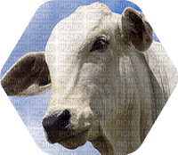 vaca by estrellacristal - PNG gratuit