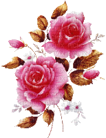 róże - 免费动画 GIF