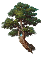 arbre - nemokama png