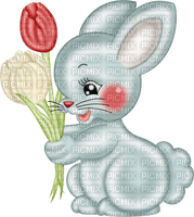hare by nataliplus - png grátis