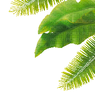 soave deco summer animated leaves palm green - 免费动画 GIF