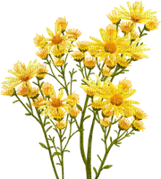 Flores amarillas - zdarma png