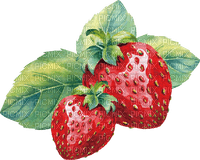Strawberry - Bogusia - 免费PNG
