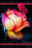 mariposa  rosa - Δωρεάν κινούμενο GIF