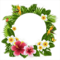 tropical flower frame cadre fleur