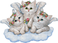 Angels.Cats.White.Blue.Pink - darmowe png