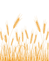 wheat Bb2 - zadarmo png