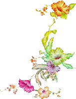 soave deco branch animated flowers spring summer - Бесплатный анимированный гифка