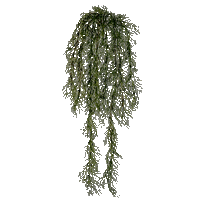 Hanging Moss - Nemokamas animacinis gif