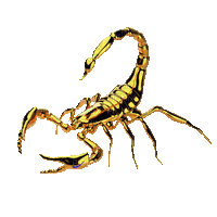 Scorpio Gold Gif - Bogusia - Besplatni animirani GIF