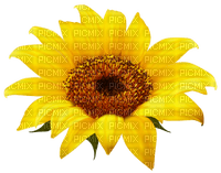 Kaz_Creations Deco Flowers Sunflower Flower - png gratis