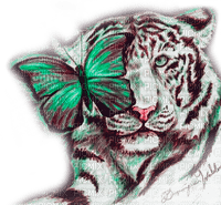 Y.A.M._Art tiger animals - Free PNG