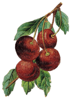 cereza - Free PNG