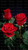 róze - Gratis geanimeerde GIF