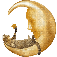cat schlappi50 - Animovaný GIF zadarmo