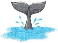 whale tail - gratis png
