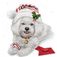 Kaz_Creations Christmas Dogs Dog Pup - ilmainen png