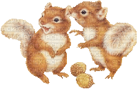 patymirabelle écureuils - GIF animate gratis