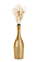 champagne   Bb2 - δωρεάν png